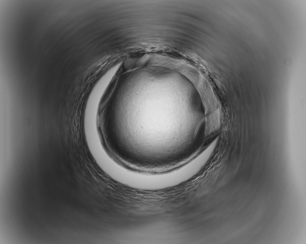 X0000095931110200802011015