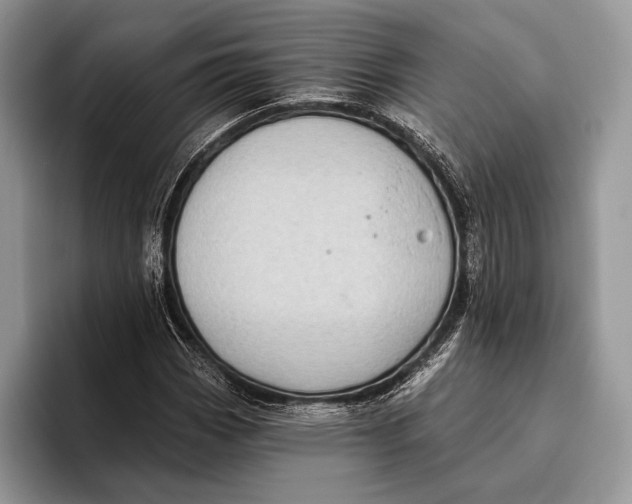 X0000095931113200802011015