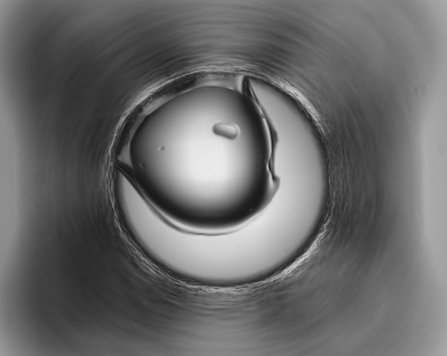 X0000095931114200802011015