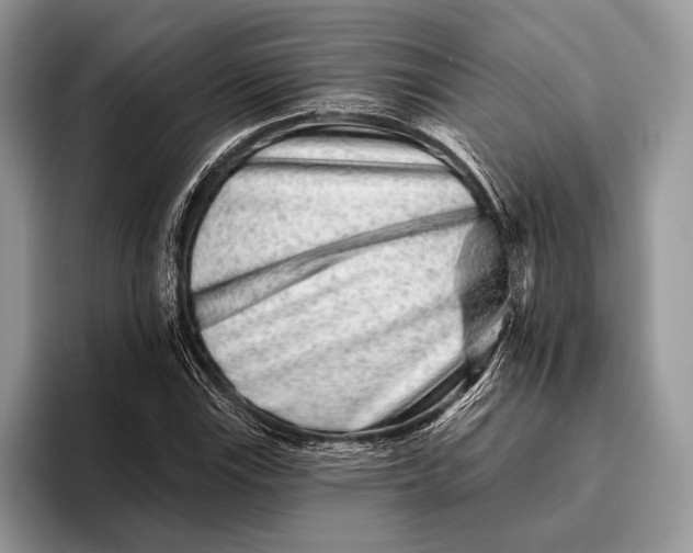X0000095931115200802011015