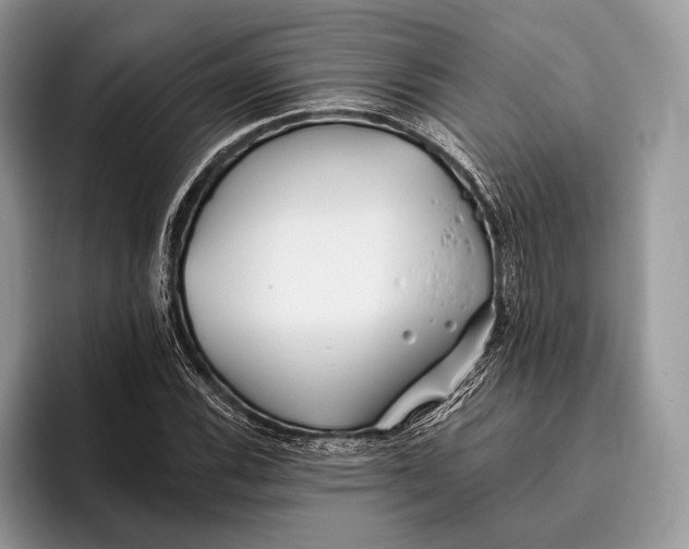 X0000095931116200802011015