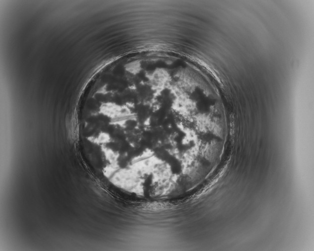 X0000095931117200802011015