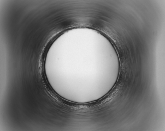 X0000095931119200802011015