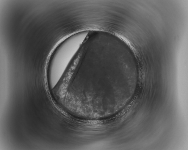 X0000095931120200802011016