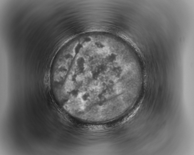 X0000095931121200802011016