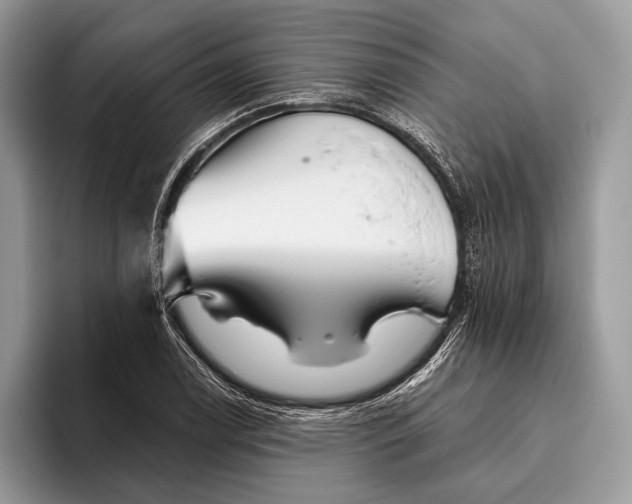 X0000095931122200802011016
