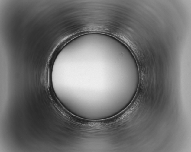 X0000095931123200802011016