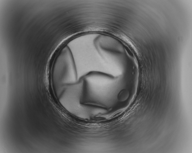 X0000095931124200802011016