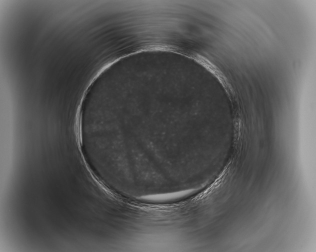 X0000095931127200802011016