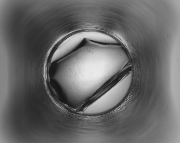 X0000095931128200802011016