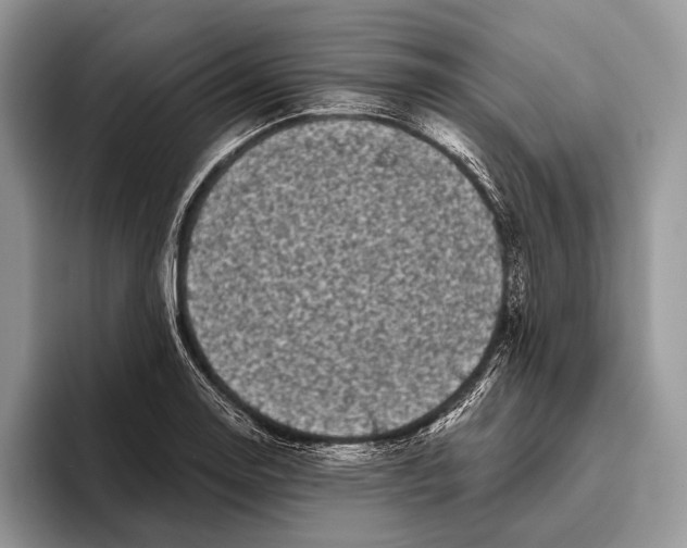X0000095931130200802011016