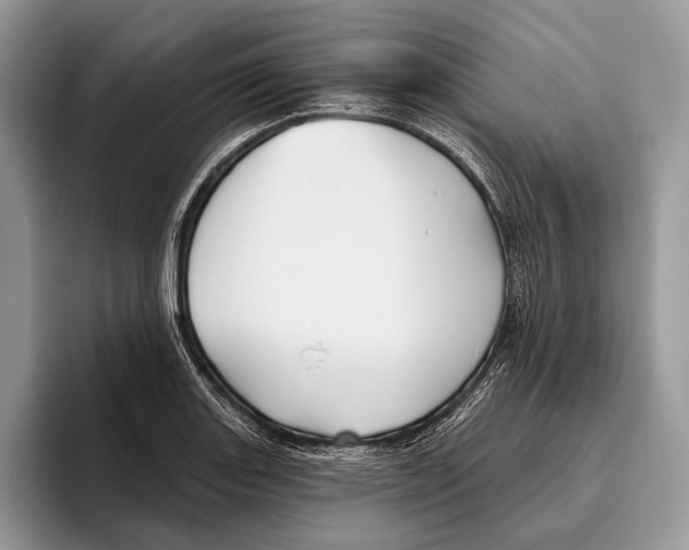 X0000095931131200802011016