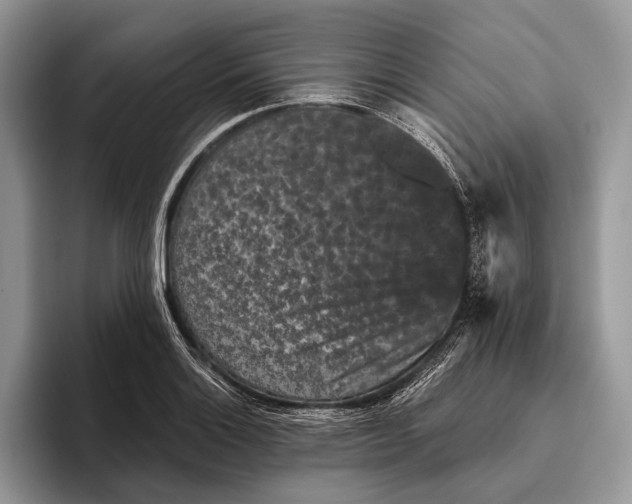 X0000095931132200802011016