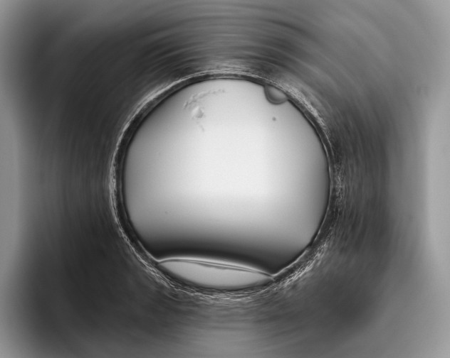 X0000095931133200802011016