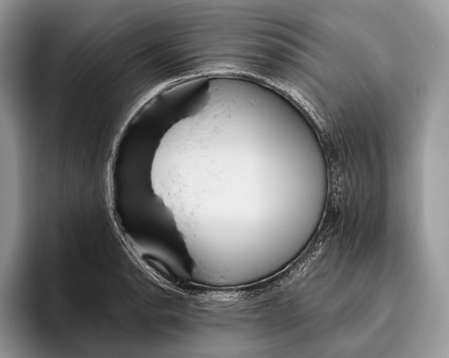 X0000095931134200802011016