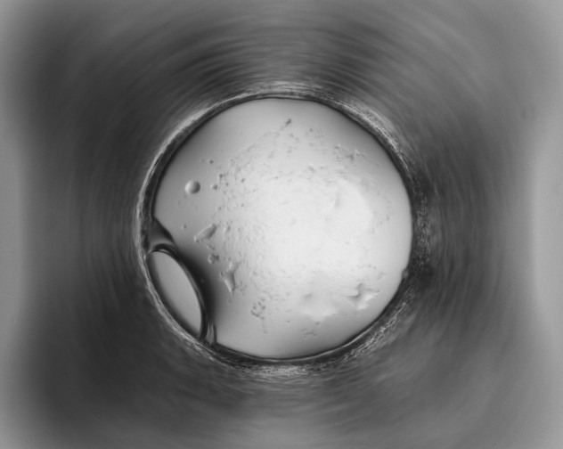X0000095931135200802011016