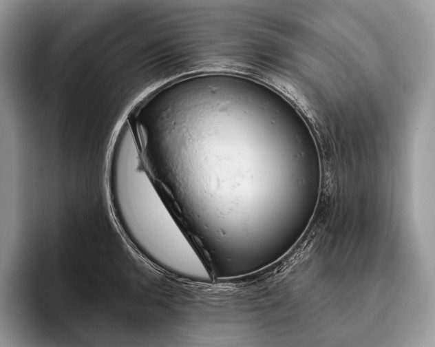 X0000095931136200802011016