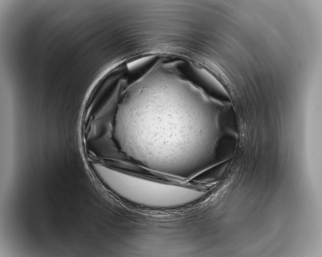 X0000095931138200802011016