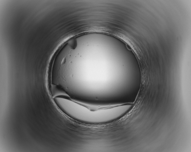 X0000095931139200802011016