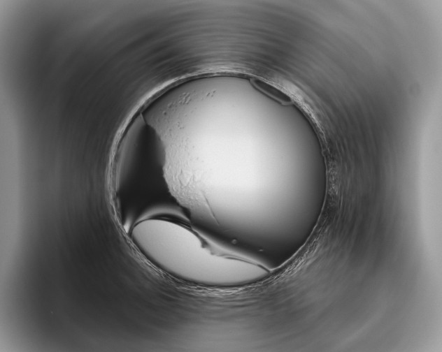 X0000095931140200802011016
