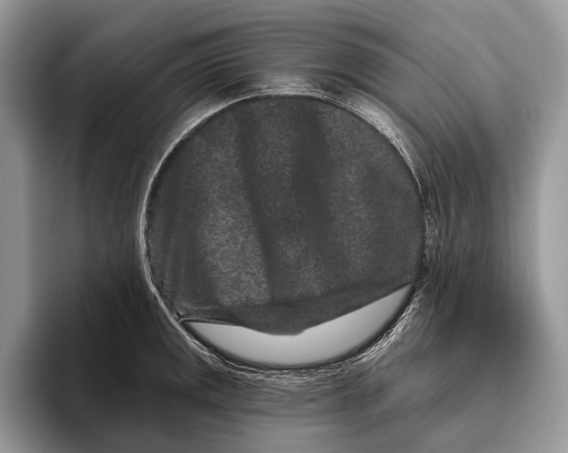 X0000095931141200802011016
