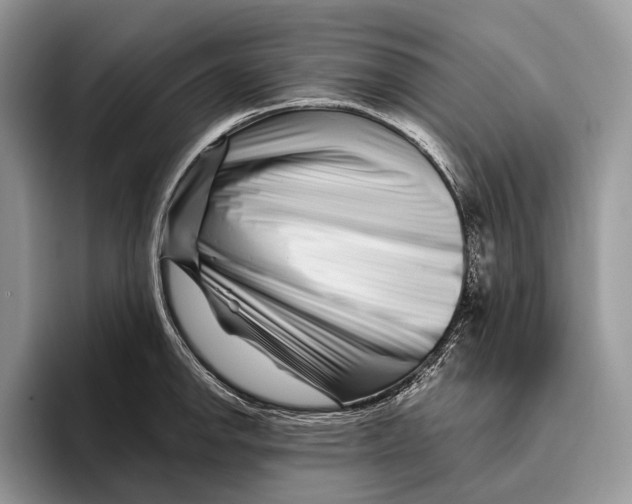 X0000095931142200802011016