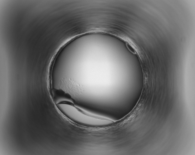 X0000095931143200802011016