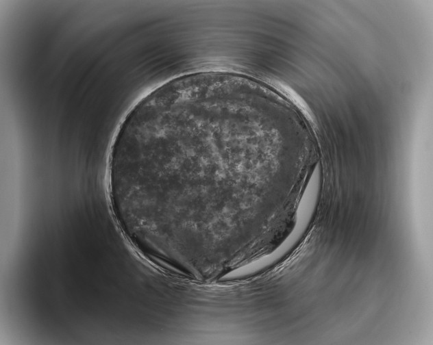X0000095931144200802011016