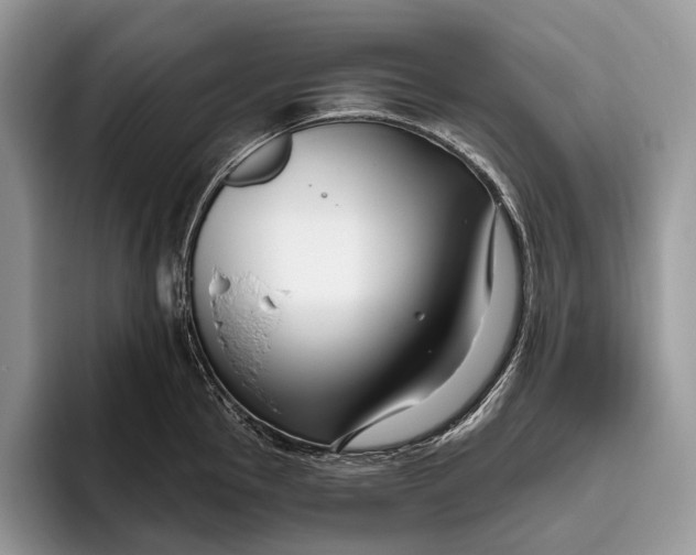 X0000095931145200802011016