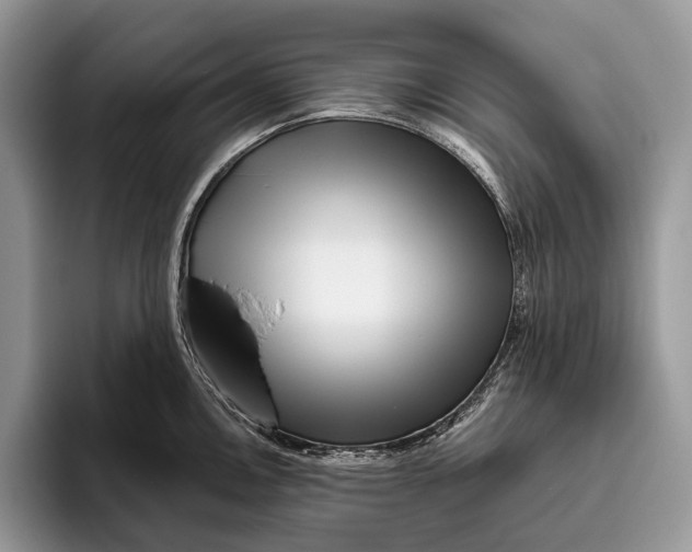X0000095931146200802011016