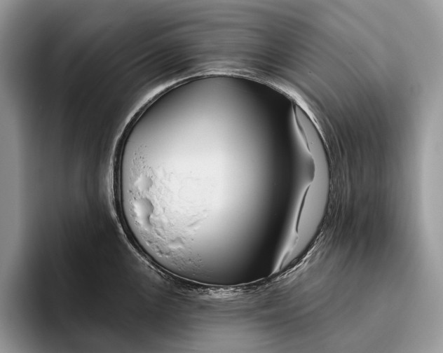 X0000095931147200802011016