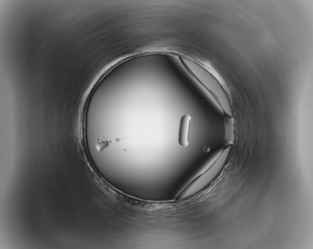X0000095931148200802011016