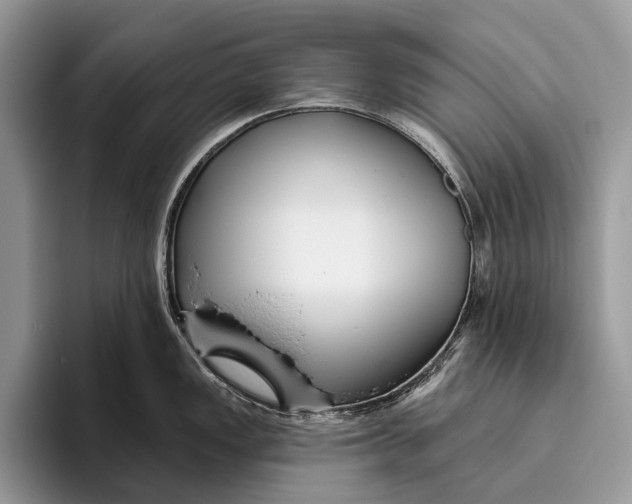 X0000095931149200802011016