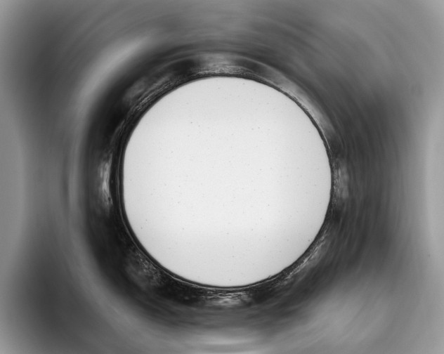 X0000095931150200802011016