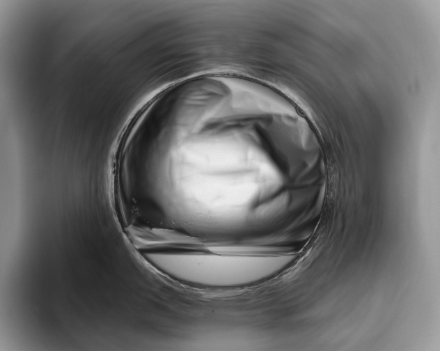 X0000095931151200802011016