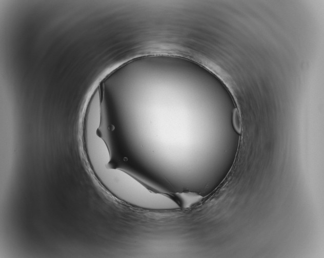 X0000095931152200802011016