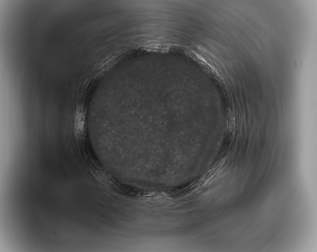 X0000095931154200802011015