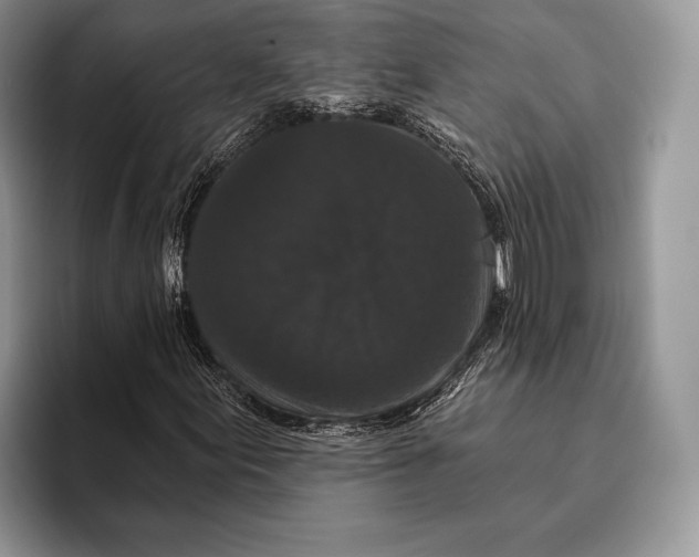 X0000095931155200802011015