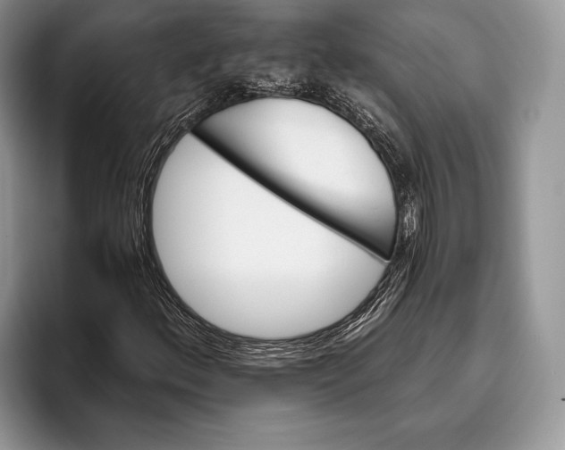X0000095931156200802011015