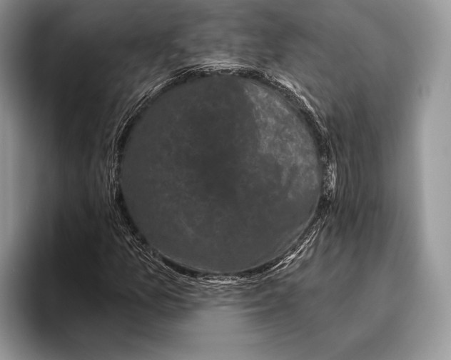 X0000095931157200802011015