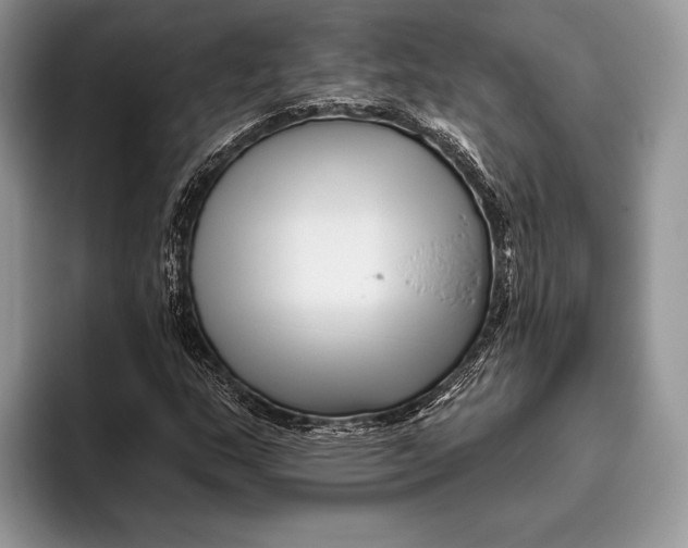 X0000095931159200802011015