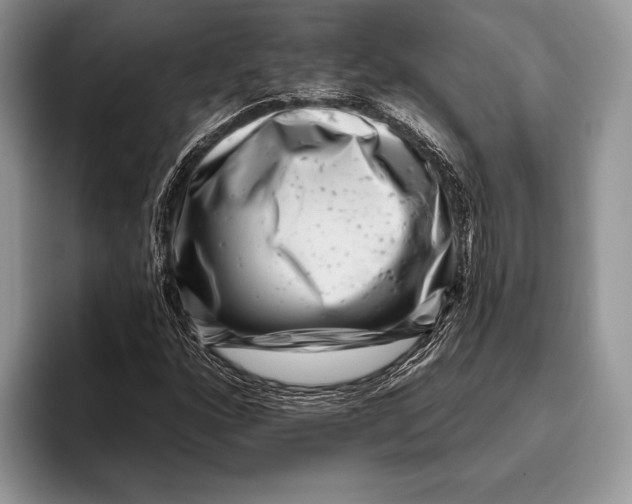 X0000095931160200802011015