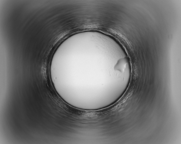 X0000095931162200802011015