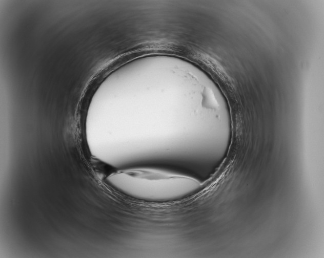 X0000095931164200802011015