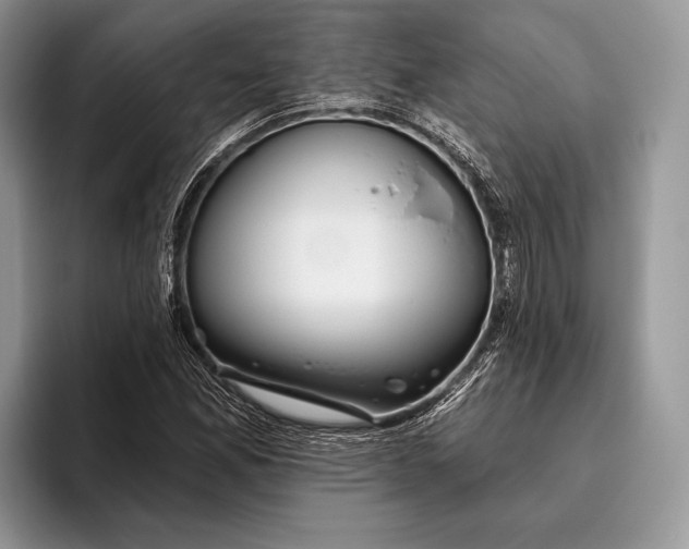 X0000095931165200802011015