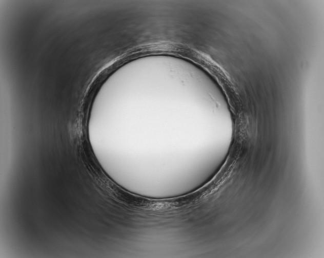 X0000095931166200802011015