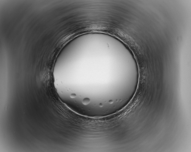 X0000095931169200802011015