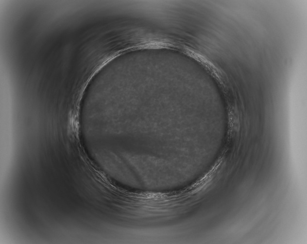 X0000095931170200802011015