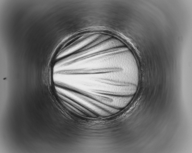 X0000095931171200802011015