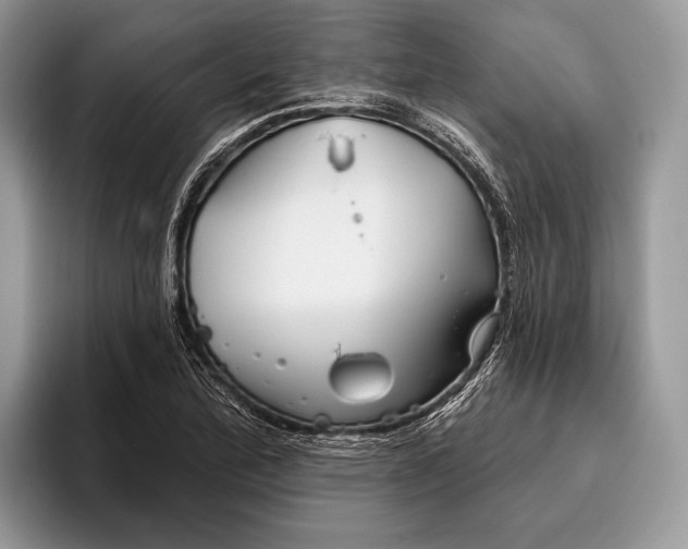 X0000095931172200802011015